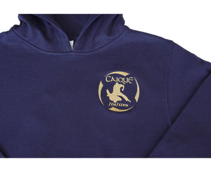Youth - Pullover Hoodie Navy/Gold